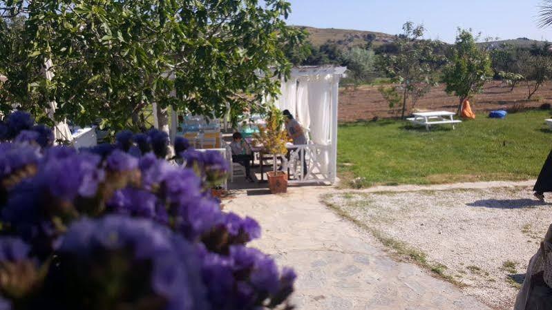 Madam Eleni Hotel Tenedos Buitenkant foto